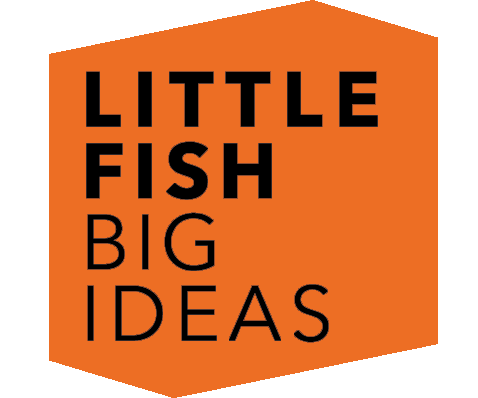 Little Fish Big Ideas
